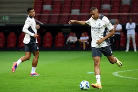 膀和躯干 膀和躯干